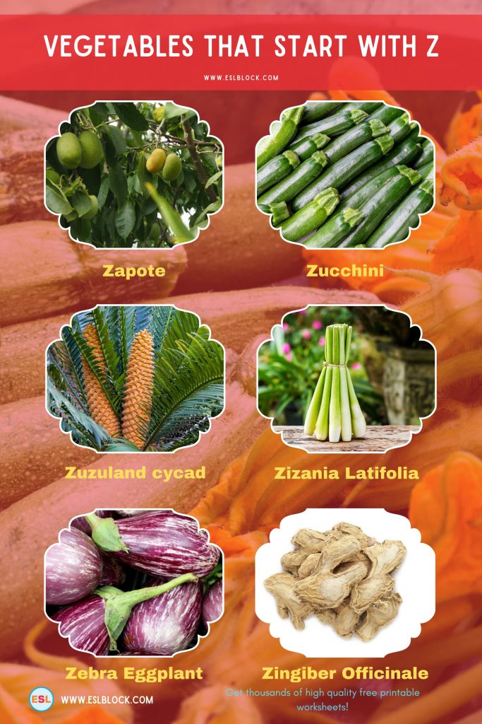 Vegetables That Start With Z English as a Second Language