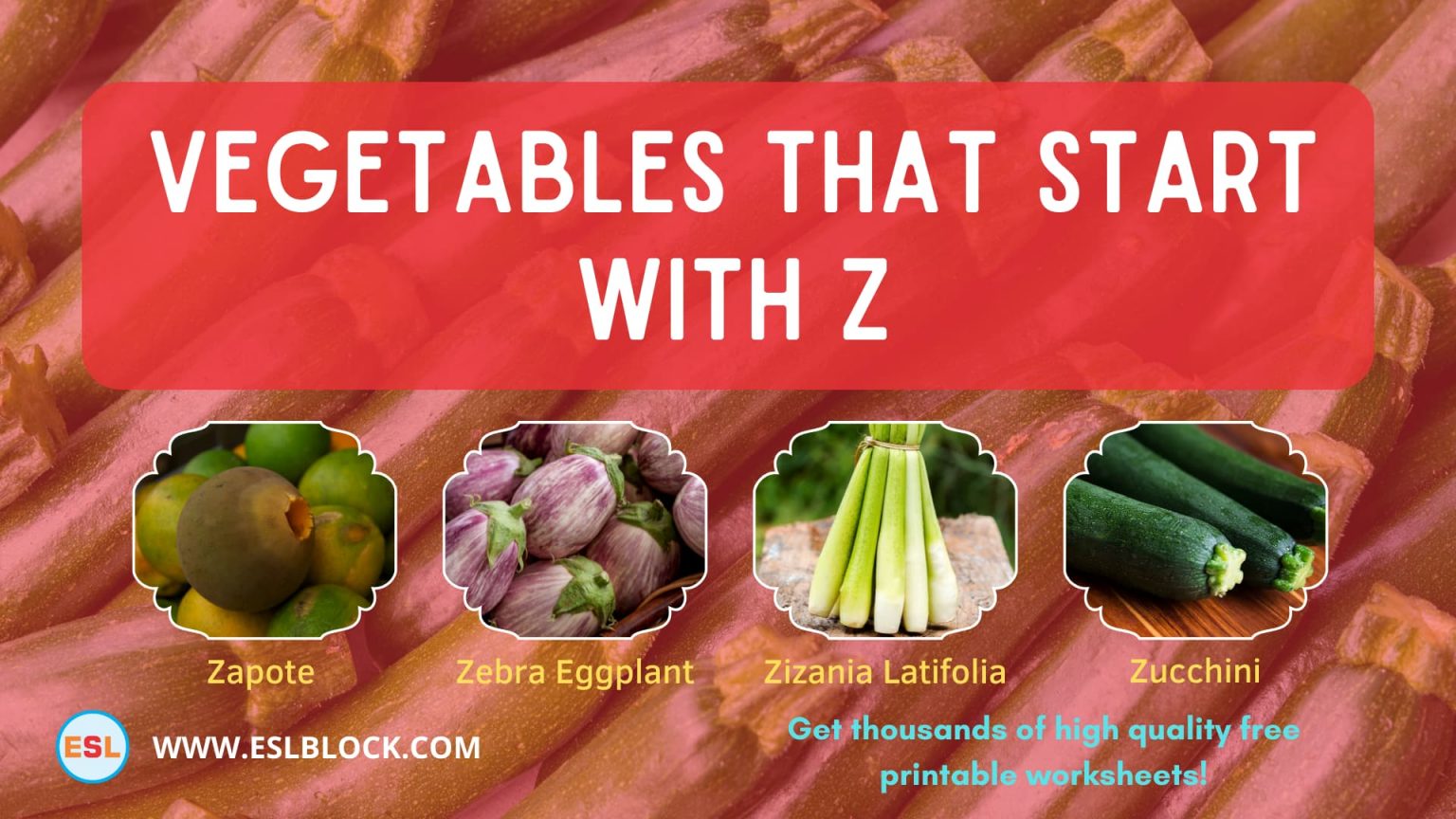 Vegetables That Start With Z - English as a Second Language