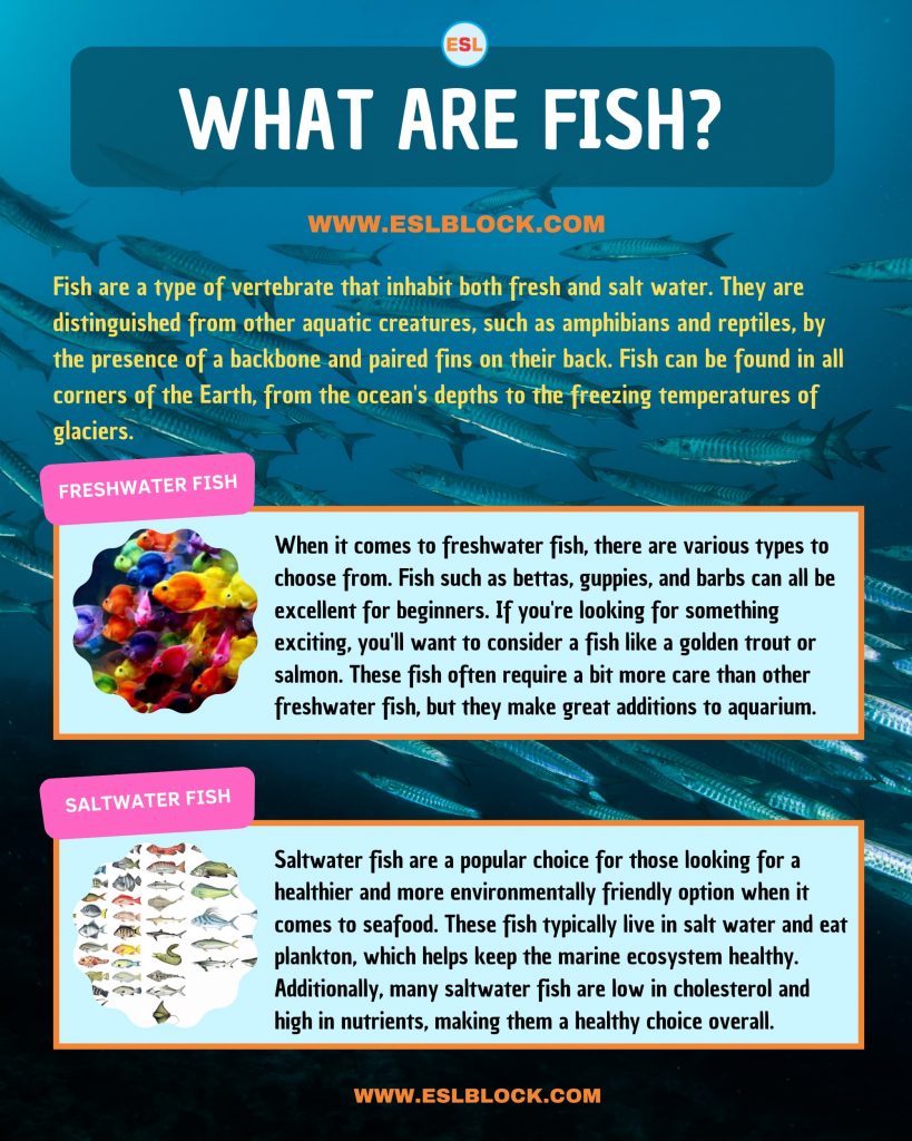 Animals Names, Best Fish, Big Fish, Cute Fish, Different Types Fish, English, English Nouns, English Vocabulary, English Words, Fish, Fish List, Hunting Fish, List of Fish, Medium Fish, Nouns, Sea Animals, Small Fish, Vocabulary