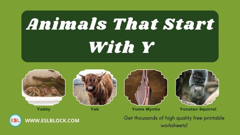 5 Letter Animals Starting With Y, Animals List, Animals Names, Animals That Begins With Y, Animals That Start With Y, English, English Nouns, English Vocabulary, English Words, List of Animals That Start With Y, Nouns, Vocabulary, Y Animals, Y Animals in English, Y Animals Names