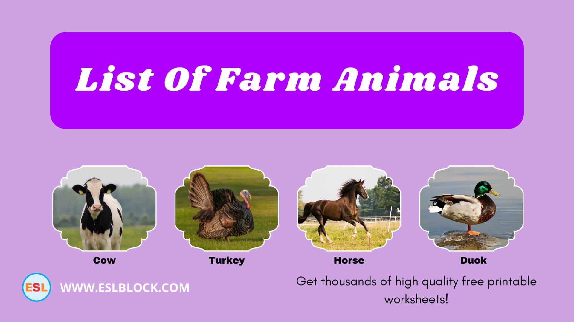 Animals Names, Best farm animals, Big farm animals, Cute farm animals, Different Types of farm animals, English, English Nouns, English Vocabulary, English Words, farm animals, farm animals List, List of cute farm animals, Medium farm animals, Nouns, Small farm animals, Vocabulary