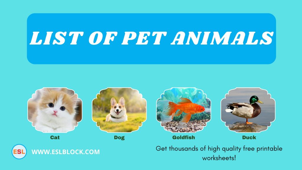 List Of Pet Animals: Different Types of Pets - English as a Second Language