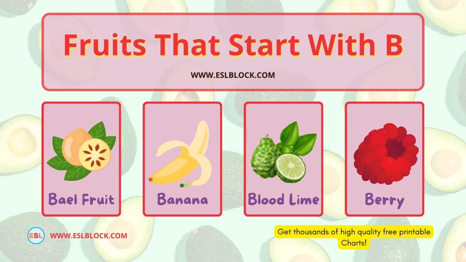 Fruits That Start With B - English As A Second Language