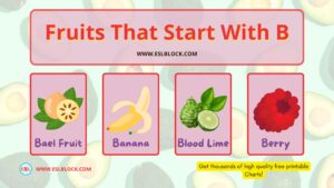 In this article, I will be providing you a list of fruits that start with B in the English language vocabulary.