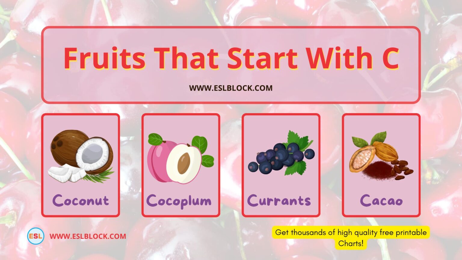 Fruits that start with C English as a Second Language