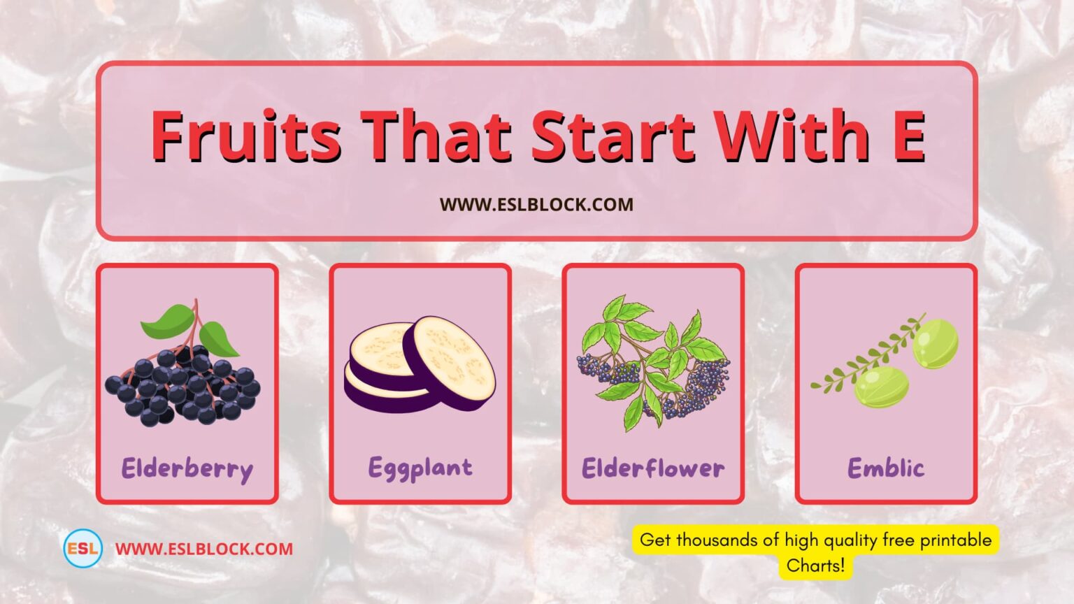 Fruits that start with E English as a Second Language