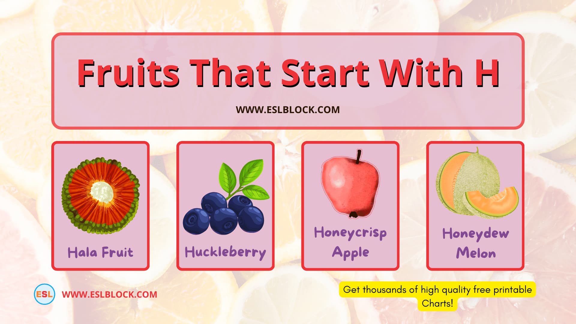 In this article, I will be providing you a list of fruits that start with H in the English language vocabulary.