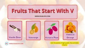 Fruits that start with U