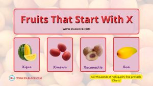Fruits that start with X