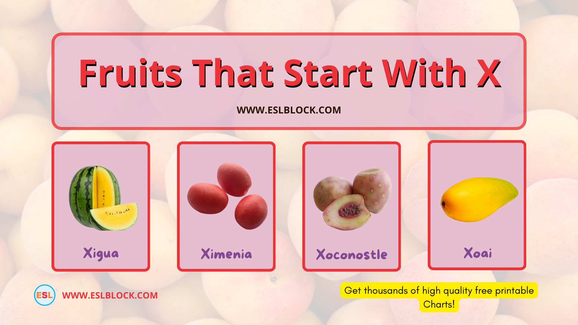 Fruits that start with X