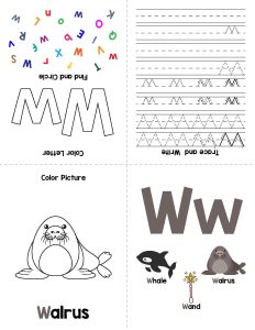 Alphabet Minibook Worksheets are an effective way to help students master the alphabet. These worksheets are designed to provide students with a fun and engaging way for Alphabet Minibook, 1st Grade Worksheets, Alphabet Worksheets, Free Worksheets, Kindergarten Worksheets, Preschool Worksheets