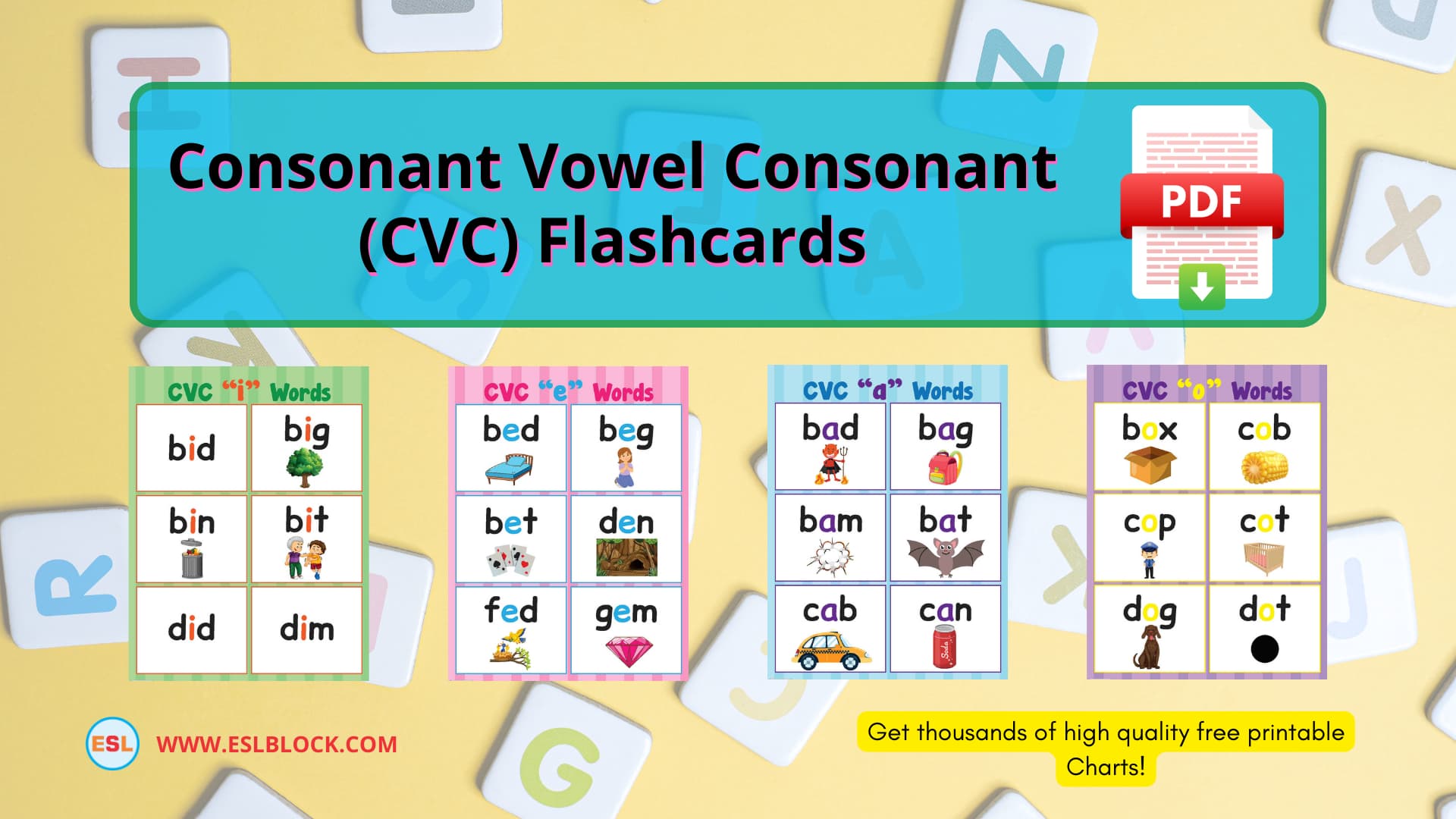 Consonant Vowel Consonant (CVC) Flashcards