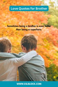 50 Love Quotes for Brother - English as a Second Language