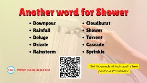 What is another word for Shower
