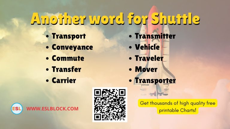 Sentences With Shuttle