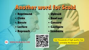 Copy of What is another word for Scold