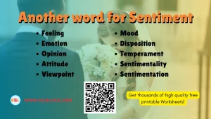 What is another word for Sentiment