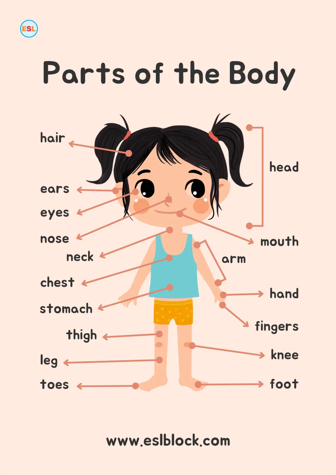 Body Parts Names