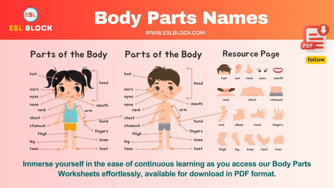 Body Parts Names