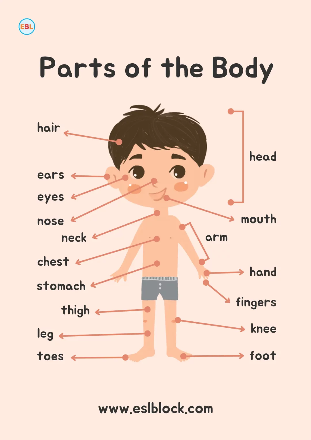 Body Parts Names