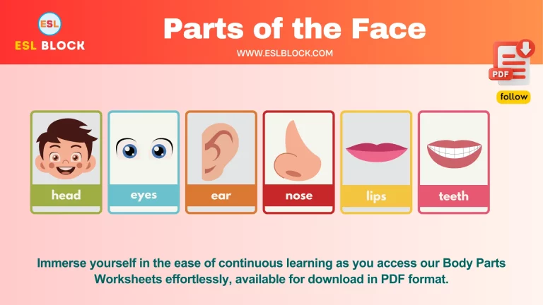 Parts of the Face with Pictures